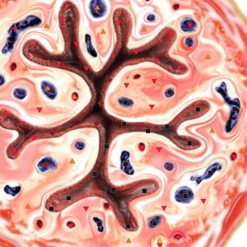 Three-dimensional non-linear scanning – a new method of urethra ...